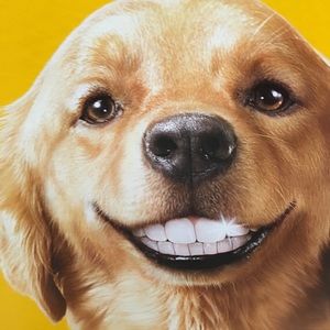 Meet your Posher, Nicholas